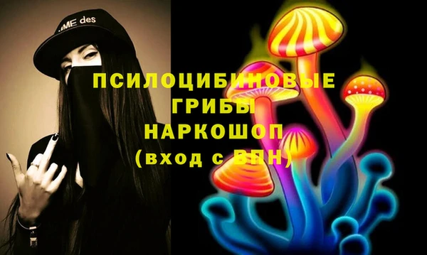 винт Алзамай