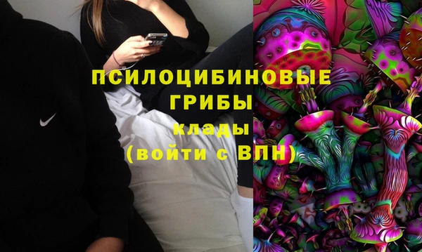 винт Алзамай