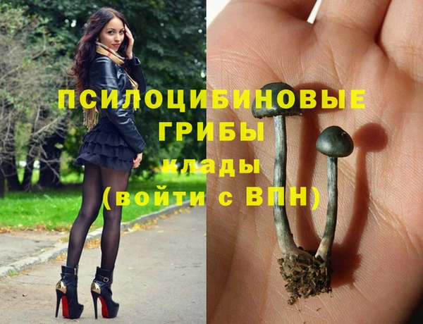 марихуана Абаза