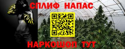 сатива Жуковский