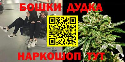тгк Заволжье