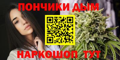 сатива Жуковский