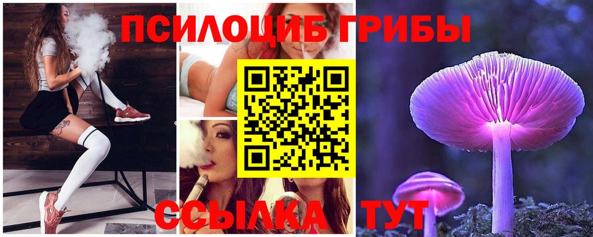 Мыски  Псилоцибиновые грибы Psilocybe  Вход с VPN 